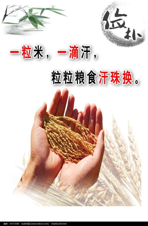 尔湾分校学信网认证办理